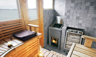 Камин-печь для бани с фото: банная печь для сауны своими руками, проект печь-камин Кузнецова